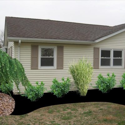 Lanwcare Near Me Freehold Borough