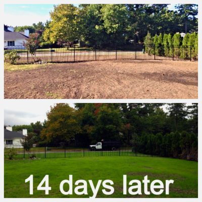 Local Landscaping Barnegat Light