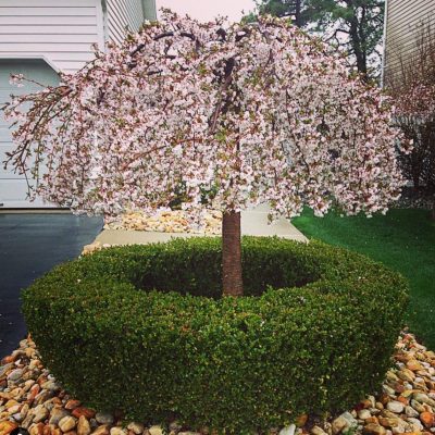 Local Landscaping Upper Freehold Township