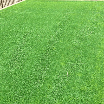 Yard Drainage Monmouth County