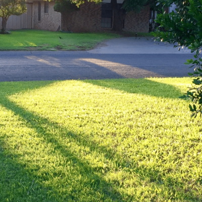 Lawn Care and Maintenance in Ocean County