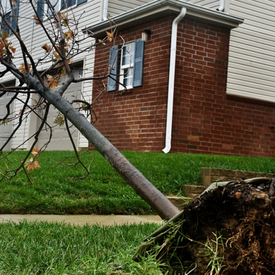 Yard Drainage in Ocean County